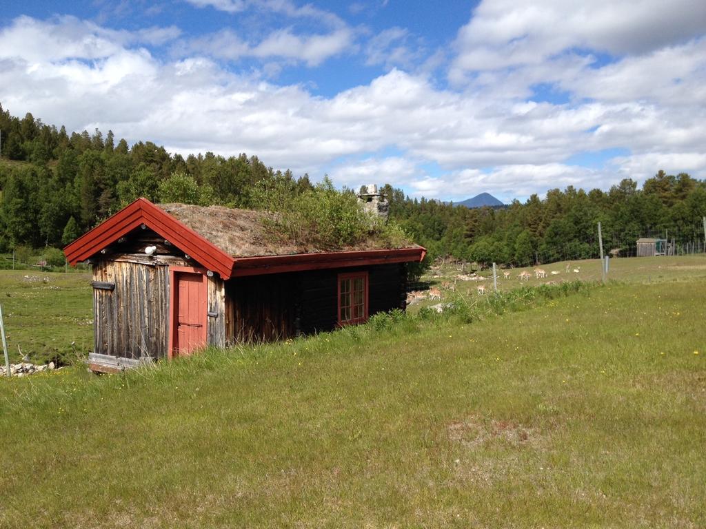 Rondane Friluftssenter Rondetunet Brenn Camera foto